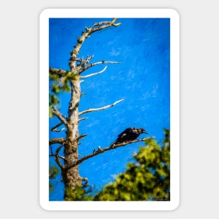 Crow in an Old Tree Sticker